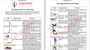 12 tư thế yoga cơ bản
