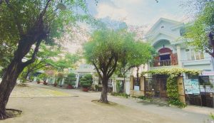 Yogadaily - Trung tâm đào tạo Yoga uy tín